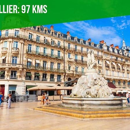 Апартаменты L'Olivier - 2 Terrasses - Clim Ac - Wifi - Proche Theatres Авиньон Экстерьер фото